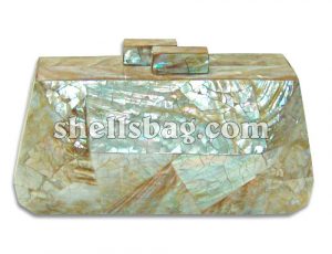 Kabebe Shell Handbags