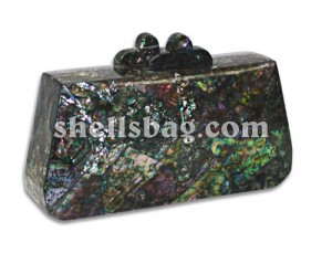 Paua Shell Fashion Bag