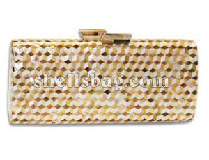 Shell Clutch fashionbags