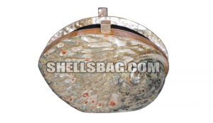 shells bag