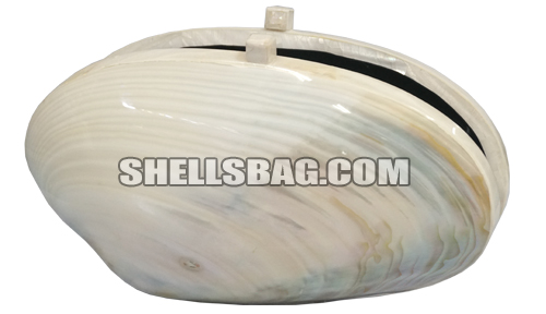 shell clutch